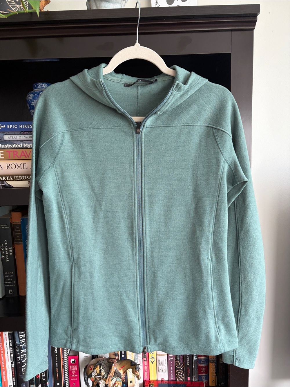 Ibex Women's Shak Hoodie in Sitka